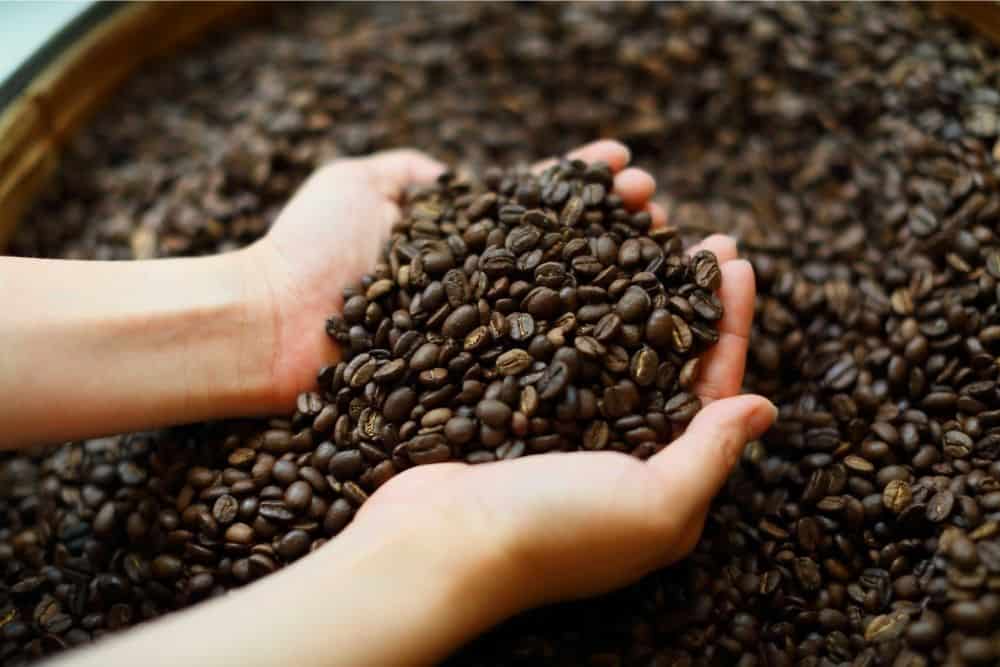 How To Stop Coffee Beans Going Stale