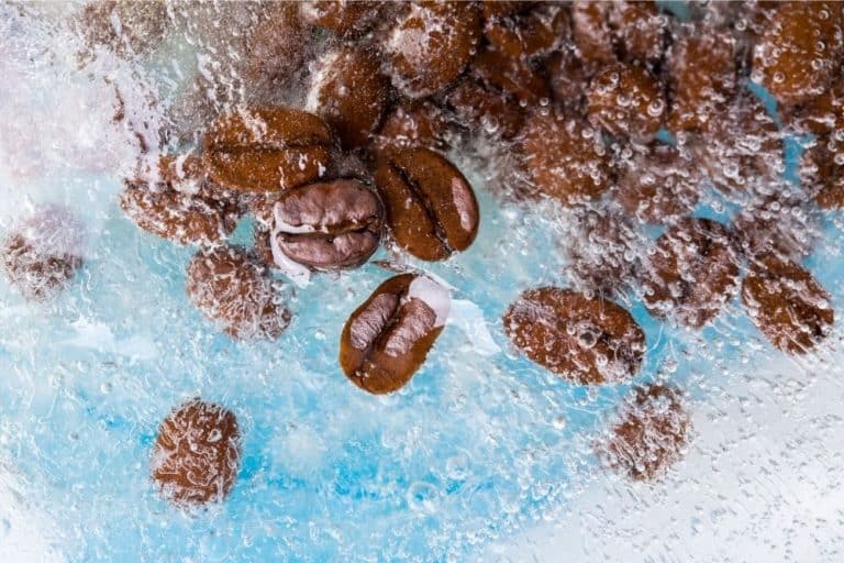 How Long Do Coffee Beans Last? Secrets to Keep Coffee Fresh