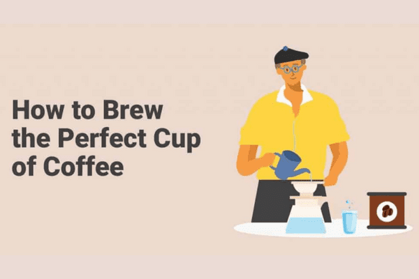 how to brew the perfect cup of coffee guide