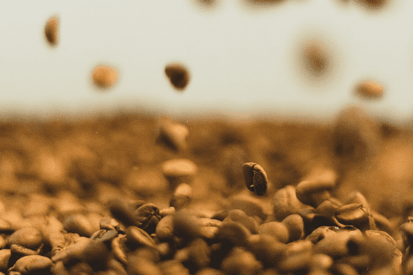 best decaf coffee beans