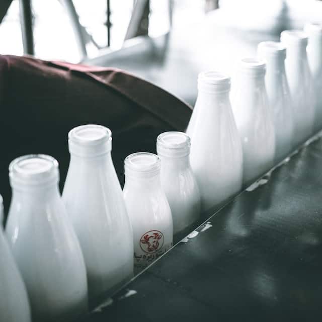 Choosing the Right Milk