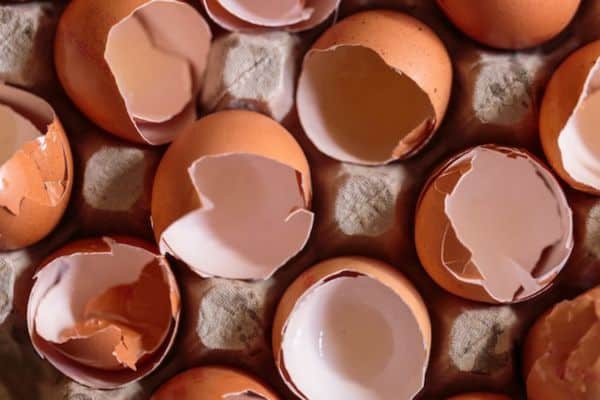 eggshells in coffee