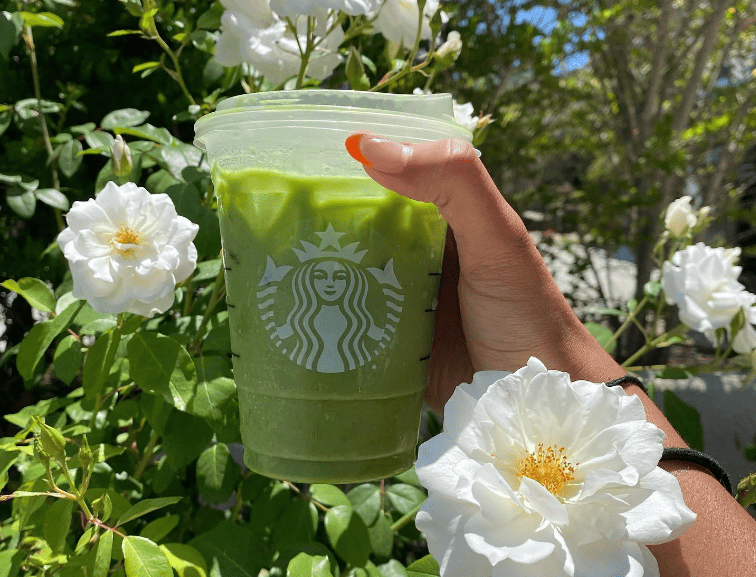 Iced Macadamia Matcha Latte